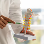 Coluna Vertebral
